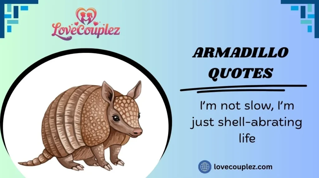 Armadillo Quotes