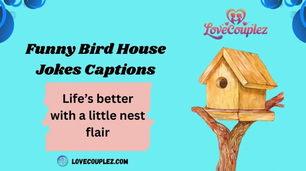 Funny Bird House Jokes Captions