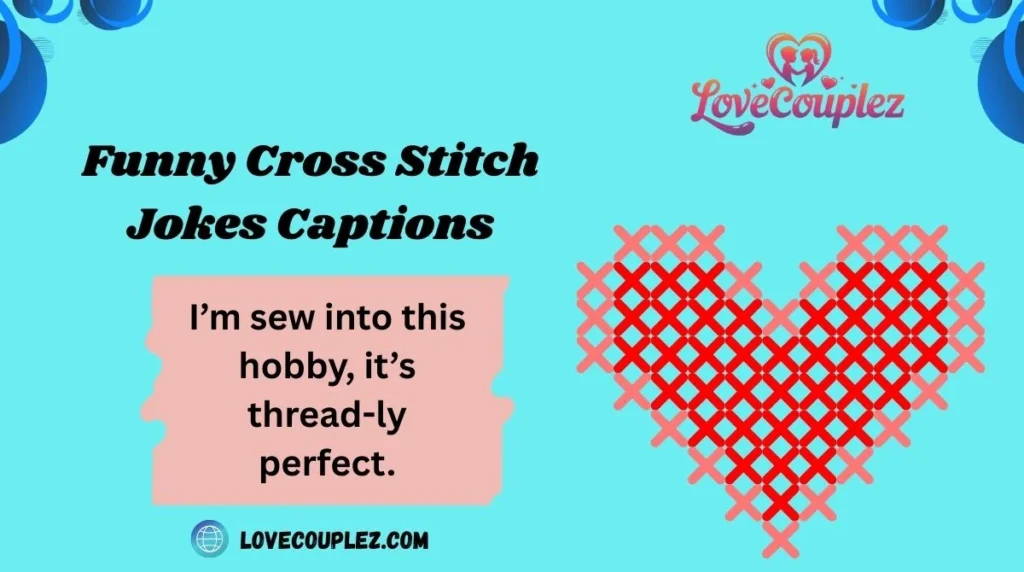Funny Cross Stitch Jokes Captions