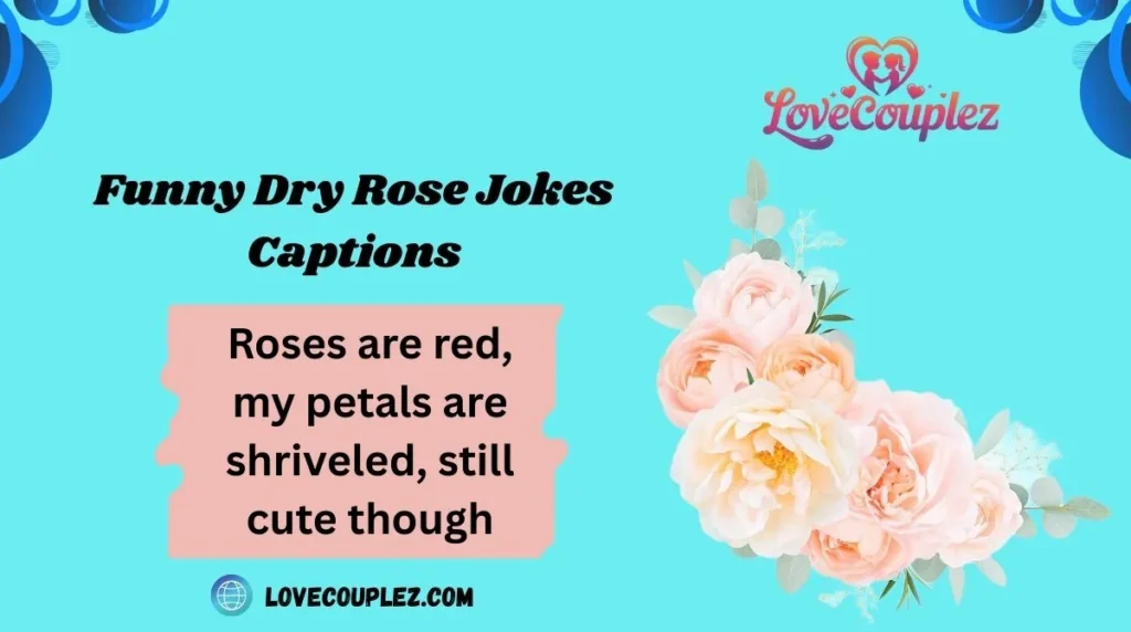 Funny Dry Rose Jokes Captions
