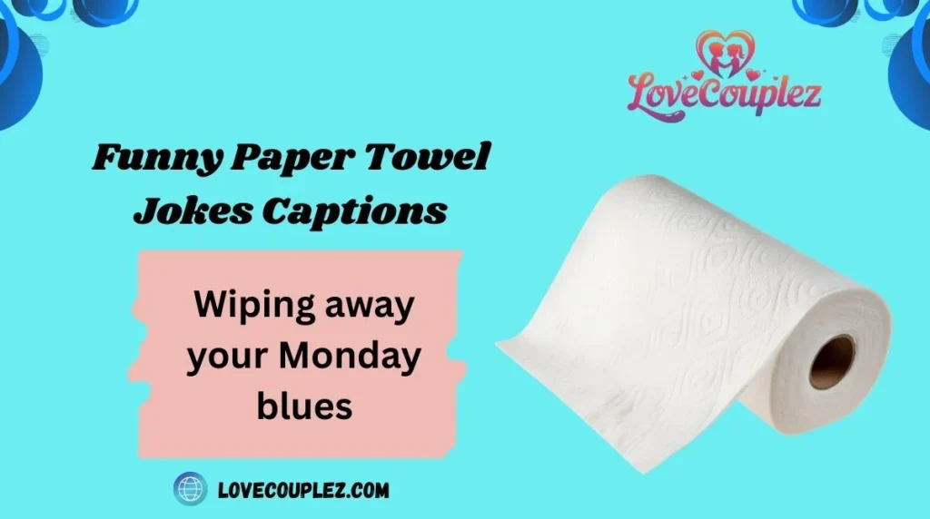 Funny Paper Towel Jokes Captions