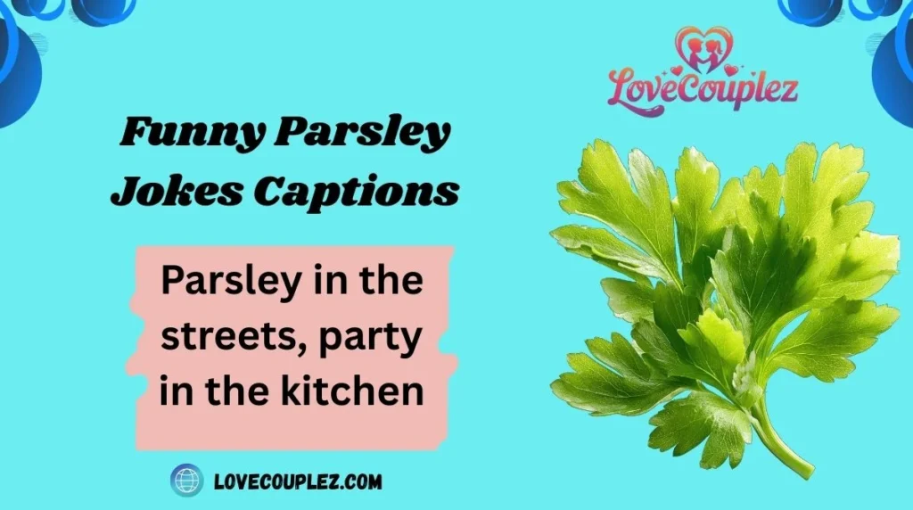 Funny Parsley Jokes Captions