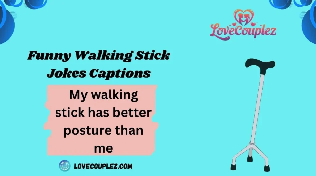 Funny Walking Stick Jokes Captions