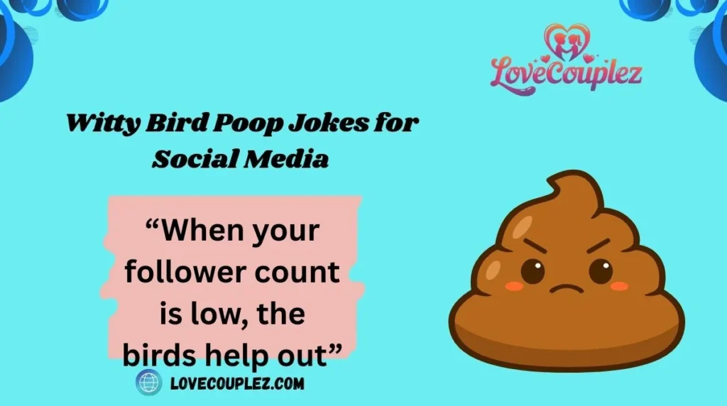 Witty Bird Poop Jokes for Social Media