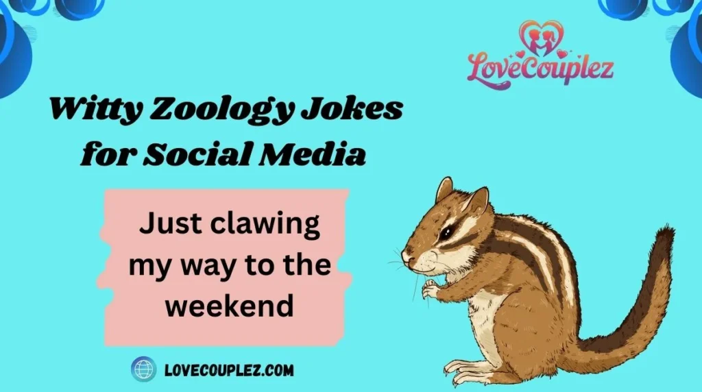Witty Zoology Jokes for Social Media