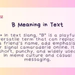 B Meaning in Text
