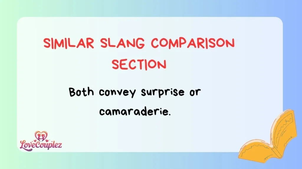 Similar Slang Comparison Section
