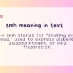 smh meaning in text