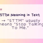 STTM Meaning in Text