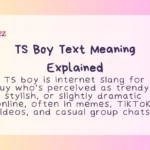 TS Boy Text Meaning Explained