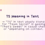 TS Meaning in Text