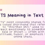 TS Meaning in Text