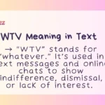 WTV Meaning in Text