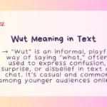 Wut Meaning in Text