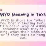 WYO Meaning in Text